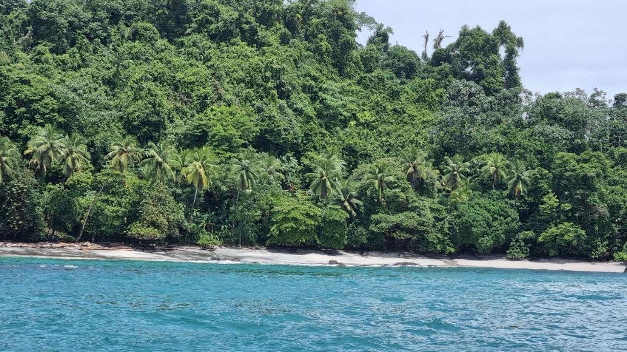 Hotel Bahia Yubarta 巴亚索拉诺 外观 照片