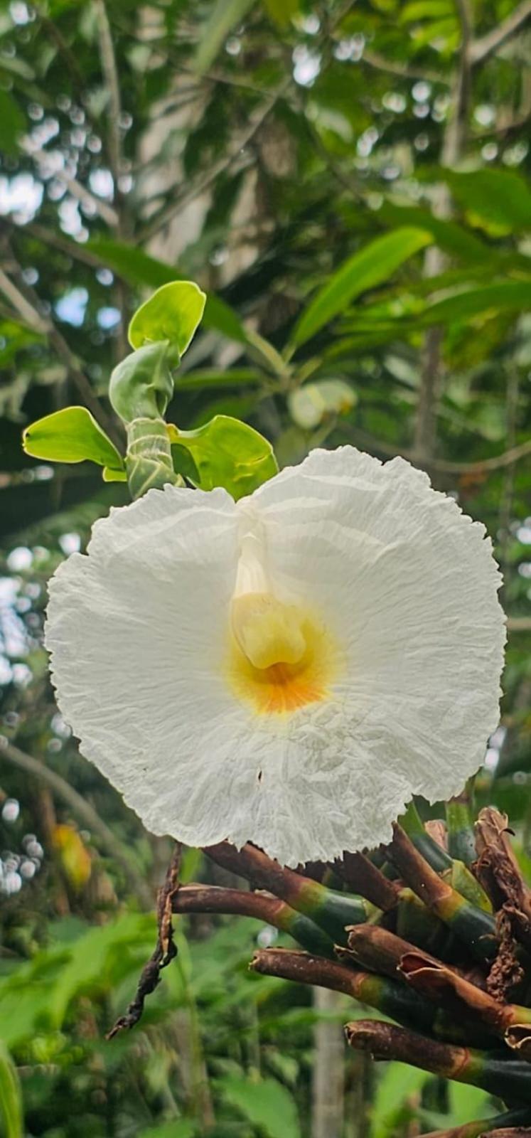 Hotel Bahia Yubarta 巴亚索拉诺 外观 照片