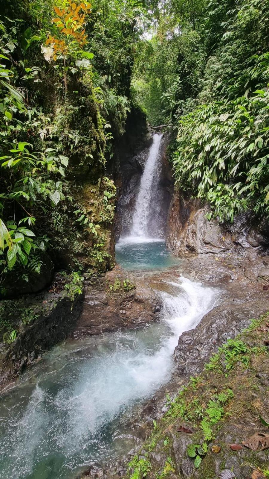 Hotel Bahia Yubarta 巴亚索拉诺 外观 照片